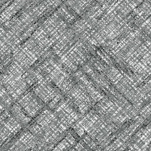 Benartex LLC - Benartex Prints Direct - Beautiful Harvest - Choice FabricsDS-93217-001 - 16552-14