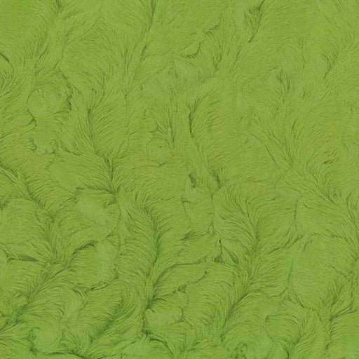 EZ Fabric / Touch Textiles - Bella Snuggle Direct - Choice FabricsDS-94005-015 - Bella Snuggle Fern