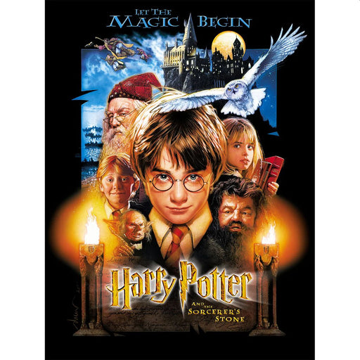 EZ Fabric / Touch Textiles - Minky Licensed Direct - Choice FabricsDS-94047-039 - Harry Potter Group Shot Panel