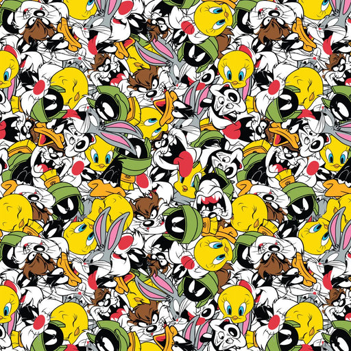 EZ Fabric / Touch Textiles - Minky Licensed Direct - Choice FabricsDS-94054-046 - Looney Tunes - Party - Minky Print