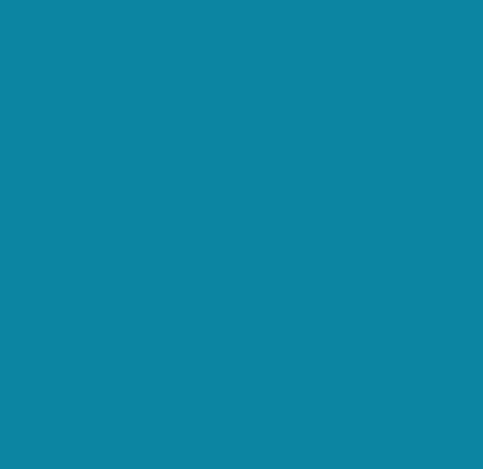 Camelot Cottons - Camelot Flannel Solids Direct - Choice FabricsDS-94481-001 - 215-0072