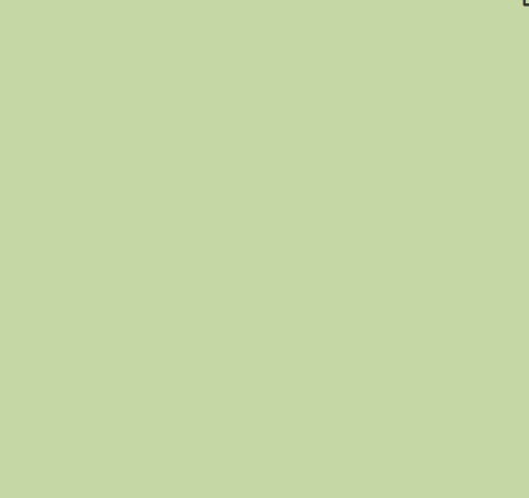 Camelot Cottons - Camelot Flannel Solids Direct - Choice FabricsDS-94484-001 - 215-0076