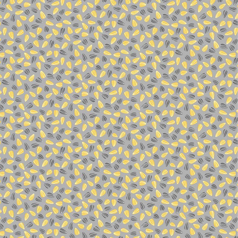 Michael Miller Fabrics - Michael Miller Prints Direct - Choice FabricsDS-95537-001 - CX10741-GRAY-D