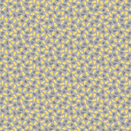 Michael Miller Fabrics - Michael Miller Prints Direct - Choice FabricsDS-95537-001 - CX10741-GRAY-D