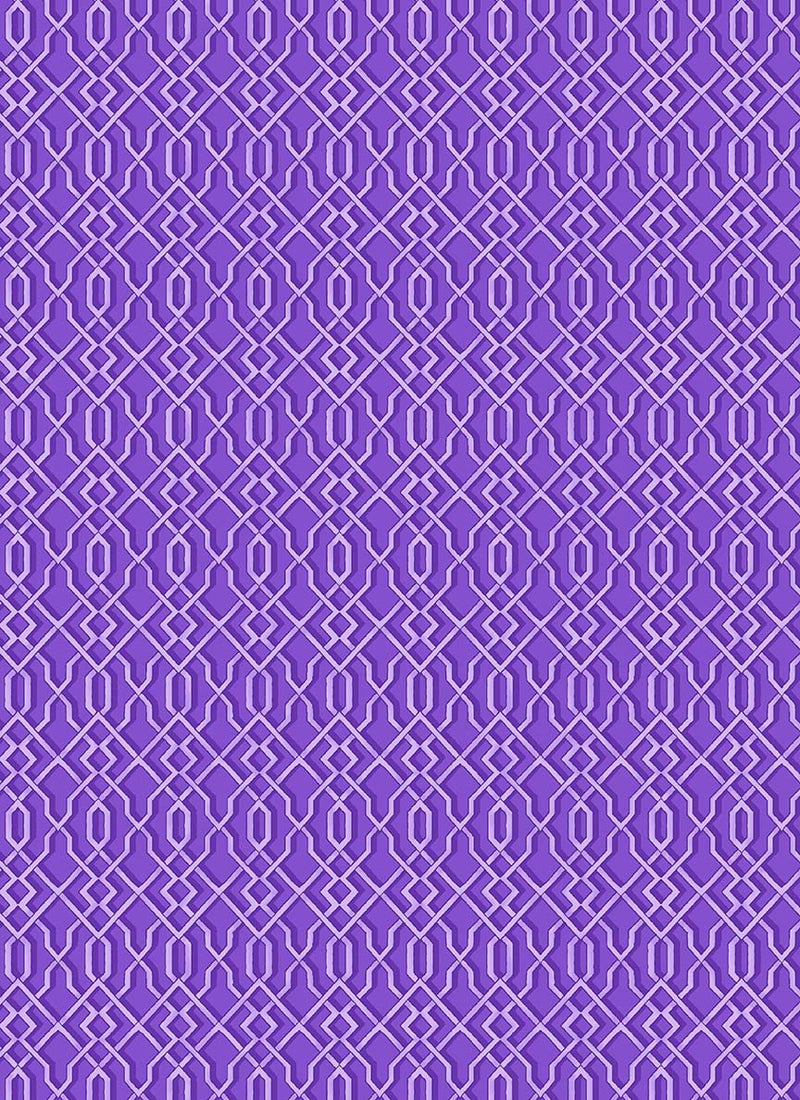 Michael Miller Fabrics - Michael Miller Prints Direct - Choice FabricsDS-95557-001 - CX11082-GRAP-D