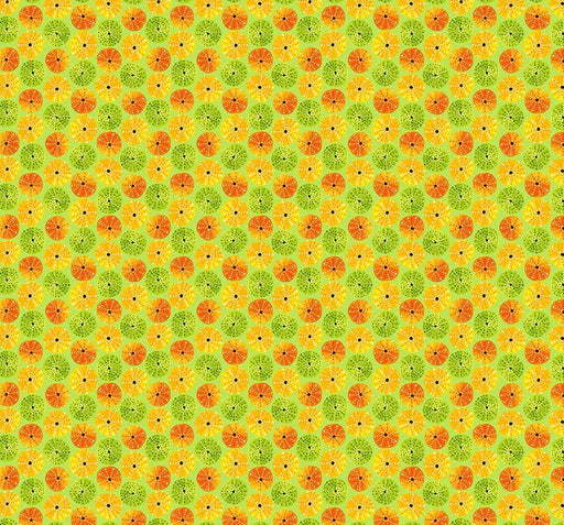 Michael Miller Fabrics - Michael Miller Prints Direct - Choice FabricsDS-95564-001 - CX11117-LIME-D