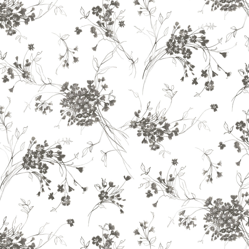 Michael Miller Fabrics - Michael Miller Prints Direct - Choice FabricsDS-95576-001 - CX11414-WIND-D
