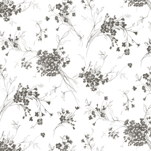 Michael Miller Fabrics - Michael Miller Prints Direct - Choice FabricsDS-95576-001 - CX11414-WIND-D