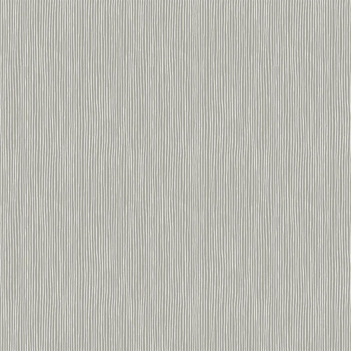 Michael Miller Fabrics - Michael Miller Prints Direct - Choice FabricsDS-95580-001 - CX11419-WIND-D