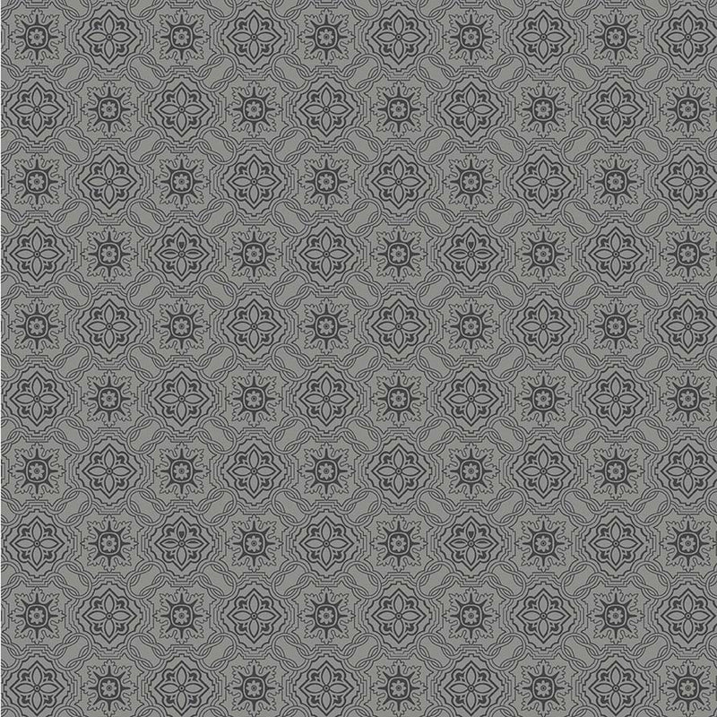 Michael Miller Fabrics - Michael Miller Prints Direct - Choice FabricsDS-95588-001 - CX11636-GRAY-D