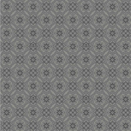 Michael Miller Fabrics - Michael Miller Prints Direct - Choice FabricsDS-95588-001 - CX11636-GRAY-D