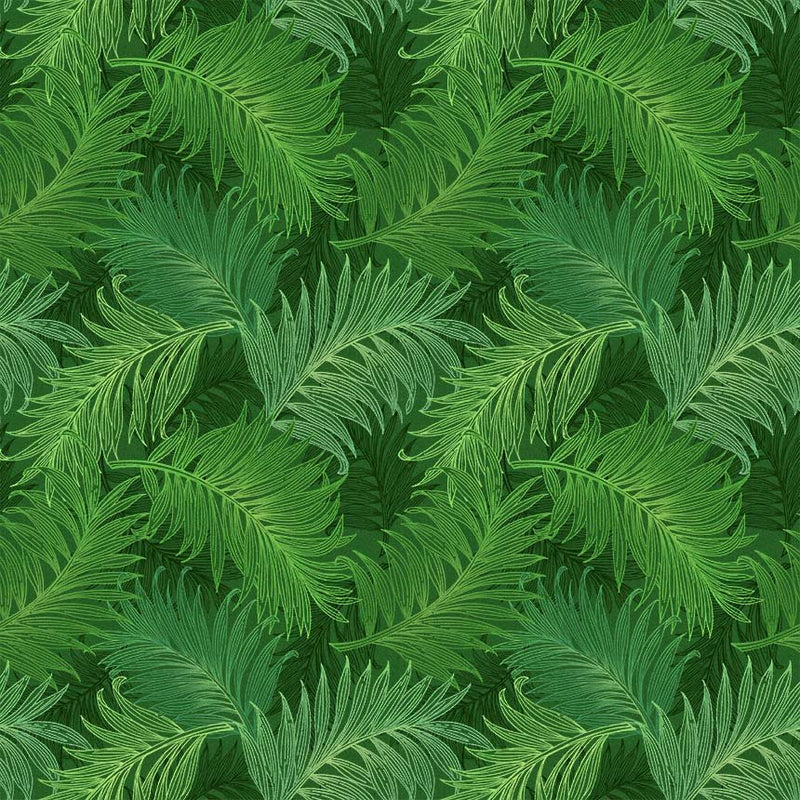 Michael Miller Fabrics - Michael Miller Prints Direct - Choice FabricsDS-95595-001 - CX11699-EVER-D
