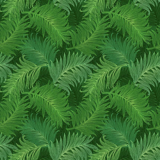 Michael Miller Fabrics - Michael Miller Prints Direct - Choice FabricsDS-95595-001 - CX11699-EVER-D