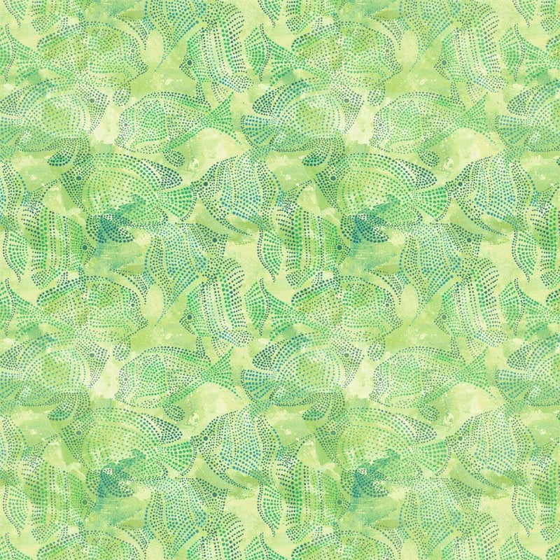 Michael Miller Fabrics - Michael Miller Prints Direct - Choice FabricsDS-95597-001 - CX11700-GREE-D