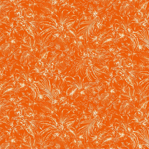 Michael Miller Fabrics - Michael Miller Prints Direct - Choice FabricsDS-95601-001 - CX11785-ORAN-D