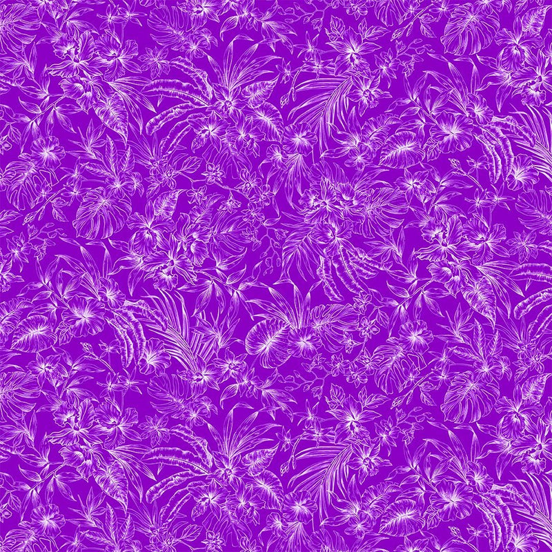 Michael Miller Fabrics - Michael Miller Prints Direct - Choice FabricsDS-95603-001 - CX11785-PURP-D