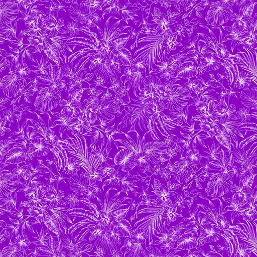 Michael Miller Fabrics - Michael Miller Prints Direct - Choice FabricsDS-95603-001 - CX11785-PURP-D