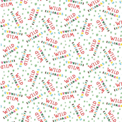 Michael Miller Fabrics - Michael Miller Prints Direct - Choice FabricsDS-95607-001 - CX11843-WHIT-D
