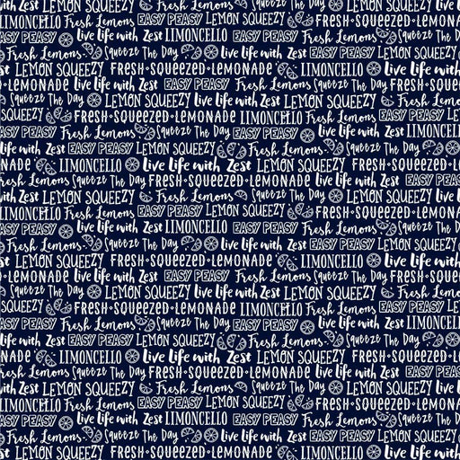 Michael Miller Fabrics - Michael Miller Prints Direct - Choice FabricsDS-95648-001 - DC10563-NAVY-D