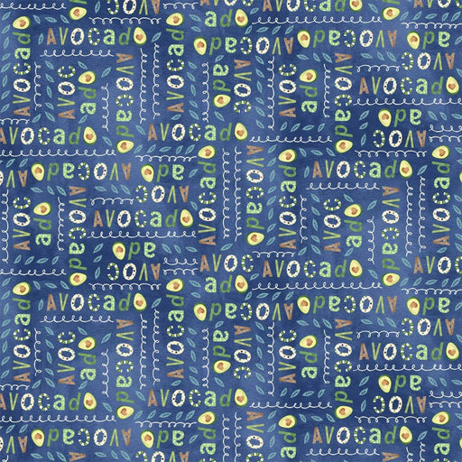Michael Miller Fabrics - Michael Miller Prints Direct - Choice FabricsDS-95656-001 - DC10751-NAVY-D
