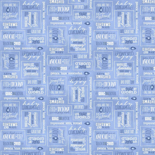 Michael Miller Fabrics - Michael Miller Prints Direct - Choice FabricsDS-95661-001 - DC10754-BLUE-D