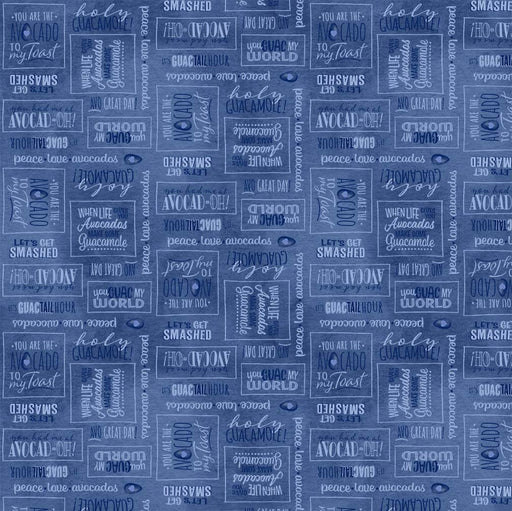 Michael Miller Fabrics - Michael Miller Prints Direct - Choice FabricsDS-95662-001 - DC10754-NAVY-D