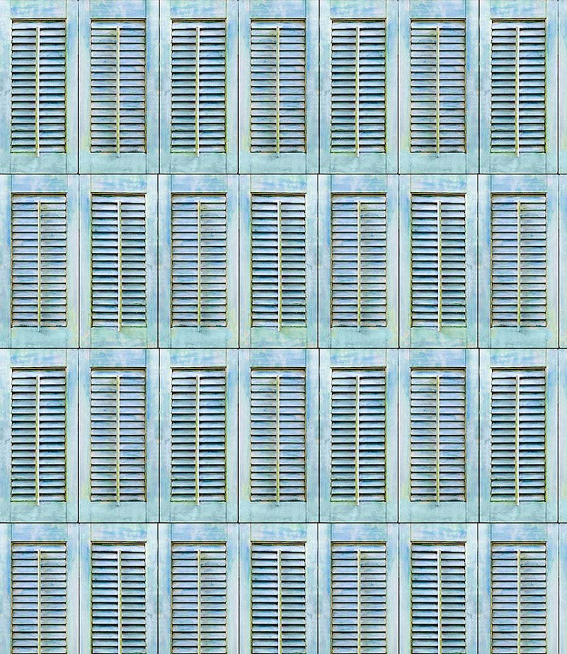 Michael Miller Fabrics - Michael Miller Prints Direct - Choice FabricsDS-95768-001 - DCX11682-AQUA-D