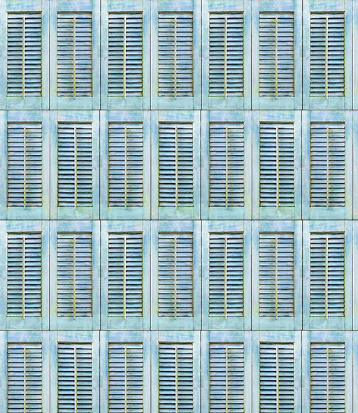 Michael Miller Fabrics - Michael Miller Prints Direct - Choice FabricsDS-95768-001 - DCX11682-AQUA-D