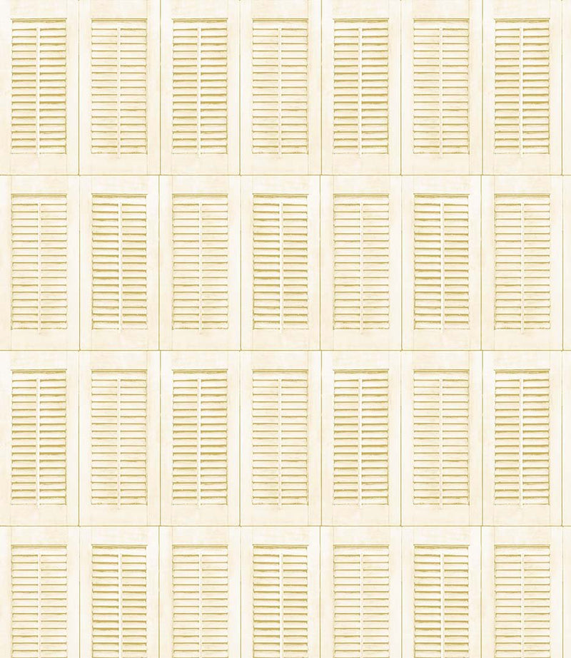 Michael Miller Fabrics - Michael Miller Prints Direct - Choice FabricsDS-95770-001 - DCX11682-ECRU-D