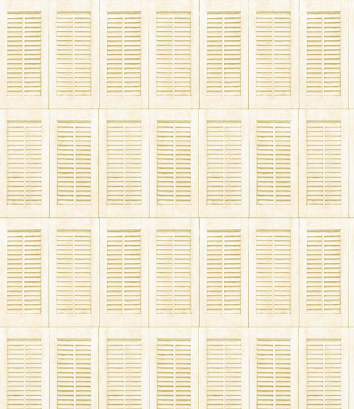 Michael Miller Fabrics - Michael Miller Prints Direct - Choice FabricsDS-95770-001 - DCX11682-ECRU-D
