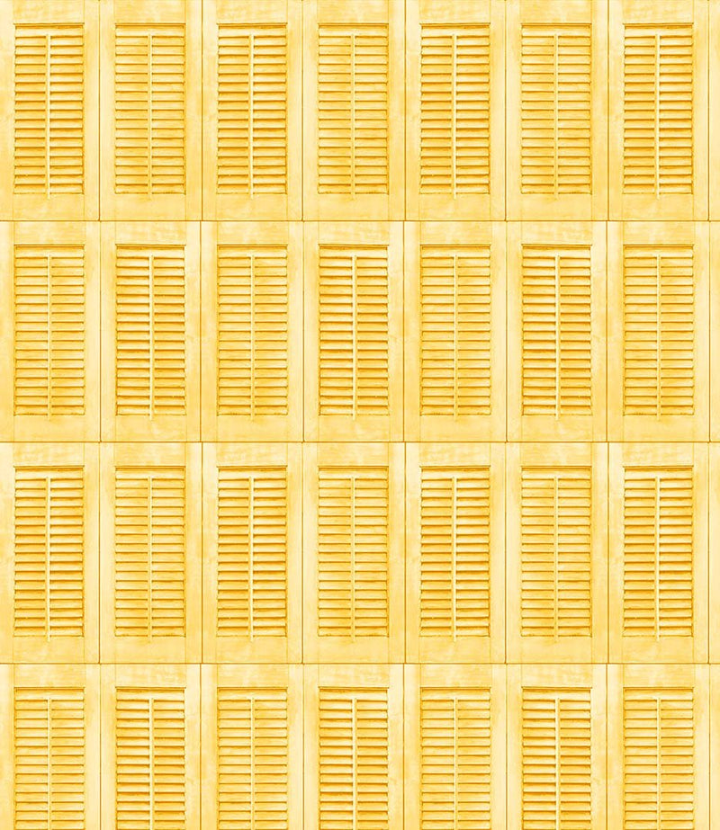 Michael Miller Fabrics - Michael Miller Prints Direct - Choice FabricsDS-95771-001 - DCX11682-SUNX-D