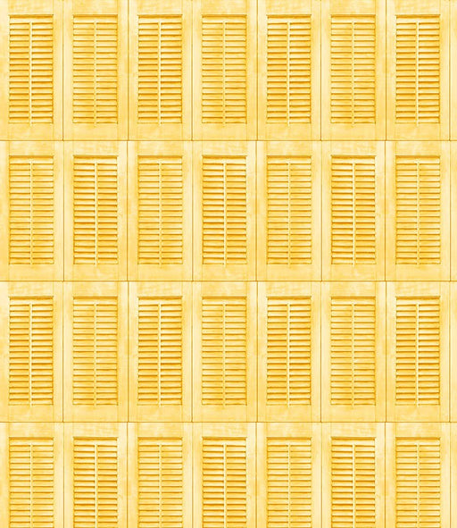 Michael Miller Fabrics - Michael Miller Prints Direct - Choice FabricsDS-95771-001 - DCX11682-SUNX-D