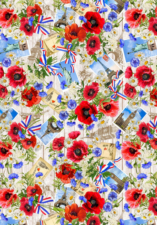 Michael Miller Fabrics - Michael Miller Prints Direct - Choice FabricsDS-95793-001 - DCX11774-CREM-D