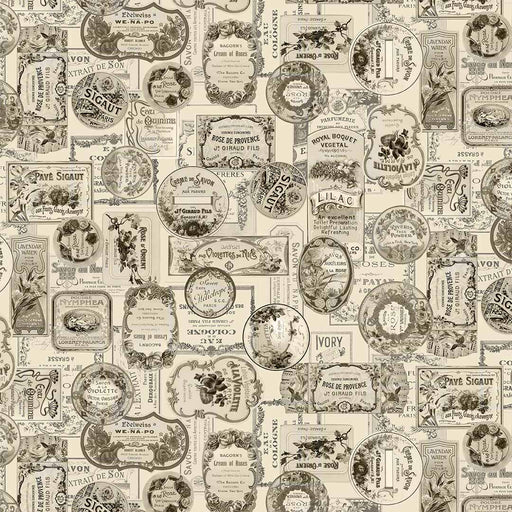 Michael Miller Fabrics - Michael Miller Prints Direct - Choice FabricsDS-95804-001 - DCX11883-LINE-D
