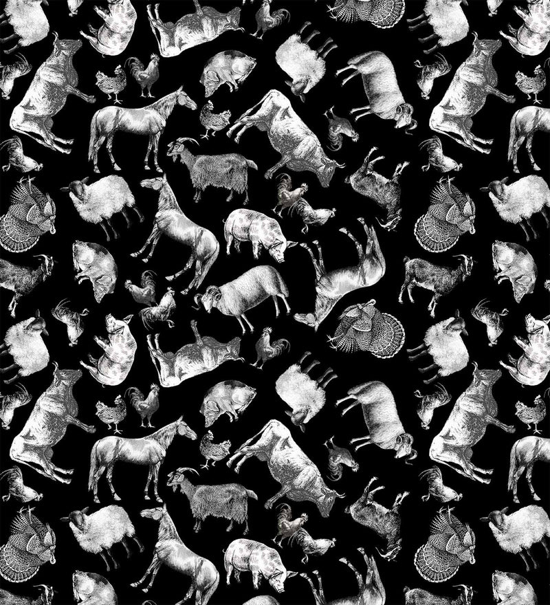 Michael Miller Fabrics - Michael Miller Prints Direct - Choice FabricsDS-95826-001 - DCX11934-BLAC-D