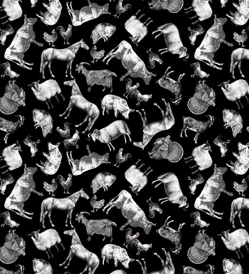 Michael Miller Fabrics - Michael Miller Prints Direct - Choice FabricsDS-95826-001 - DCX11934-BLAC-D