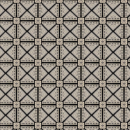 Michael Miller Fabrics - Michael Miller Prints Direct - Choice FabricsDS-95859-001 - DDC11025-BLAC-D