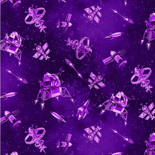Michael Miller Fabrics - Michael Miller Prints Direct - Choice FabricsDS-95860-001 - DDC11246-PURP-D