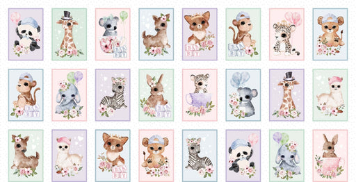 Michael Miller Fabrics - Michael Miller Prints Direct - Choice FabricsDS-95882-001 - DDC11626-MULT-D