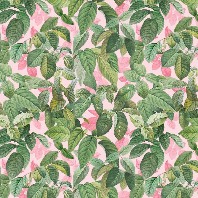 Michael Miller Fabrics - Michael Miller Prints Direct - Choice FabricsDS-95887-001 - DDC11704-PINK-D