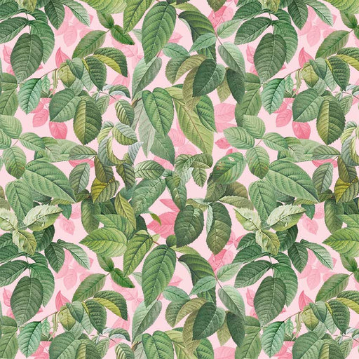 Michael Miller Fabrics - Michael Miller Prints Direct - Choice FabricsDS-95887-001 - DDC11704-PINK-D
