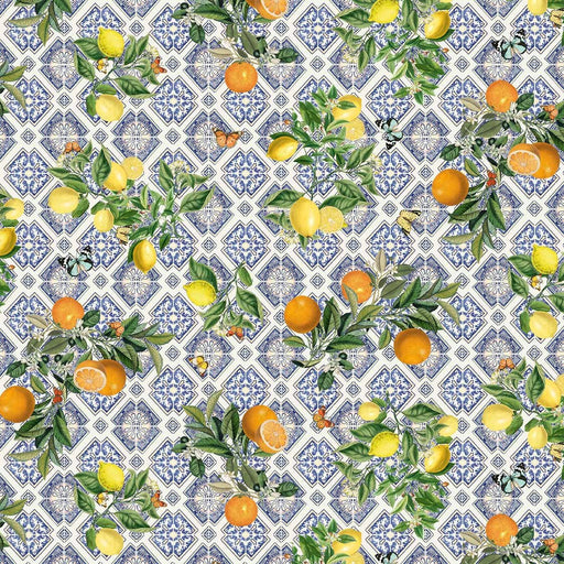 Michael Miller Fabrics - Michael Miller Prints Direct - Choice FabricsDS-95936-001 - DDC11903-MULT-D