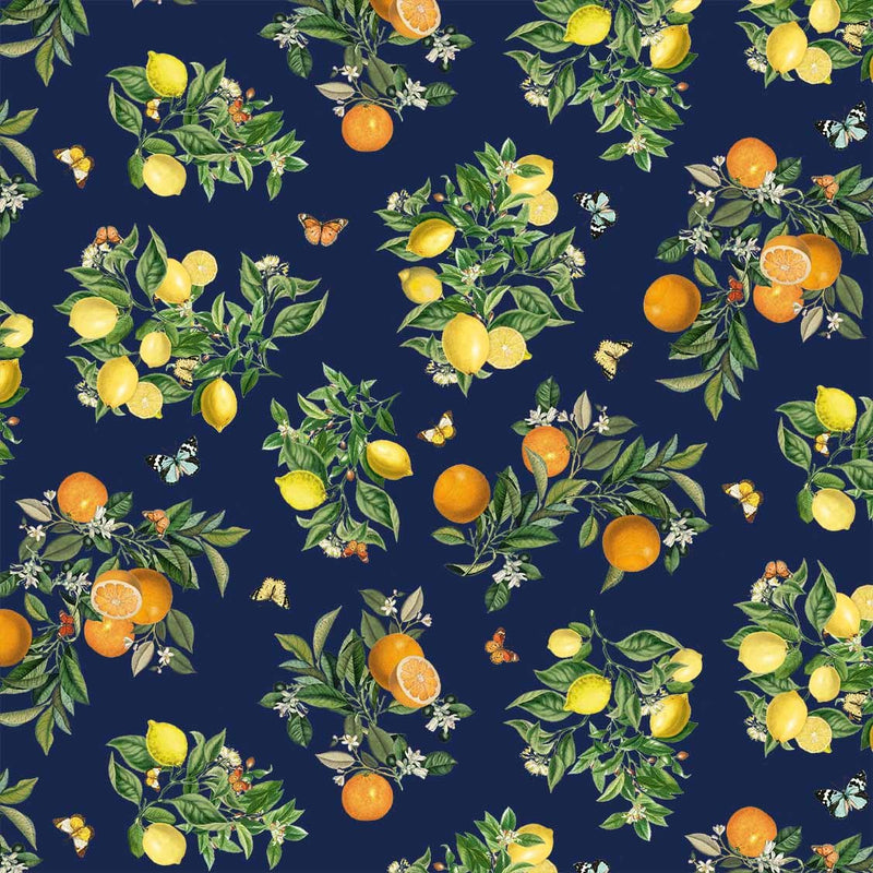 Michael Miller Fabrics - Michael Miller Prints Direct - Choice FabricsDS-95937-001 - DDC11904-NAVY-D