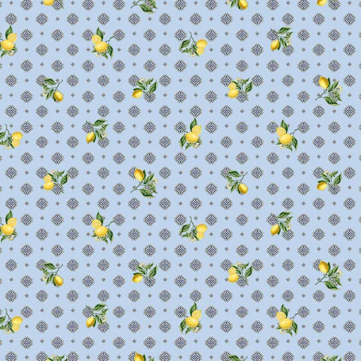 Michael Miller Fabrics - Michael Miller Prints Direct - Choice FabricsDS-95939-001 - DDC11906-BREE-D