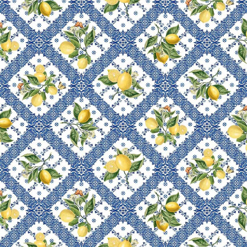 Michael Miller Fabrics - Michael Miller Prints Direct - Choice FabricsDS-95941-001 - DDC11908-WHIT-D