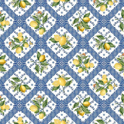 Michael Miller Fabrics - Michael Miller Prints Direct - Choice FabricsDS-95941-001 - DDC11908-WHIT-D