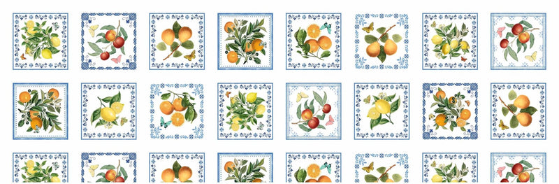 Michael Miller Fabrics - Michael Miller Prints Direct - Choice FabricsDS-95950-001 - DDC11913-MULT-D