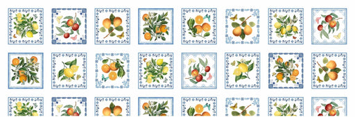 Michael Miller Fabrics - Michael Miller Prints Direct - Choice FabricsDS-95950-001 - DDC11913-MULT-D