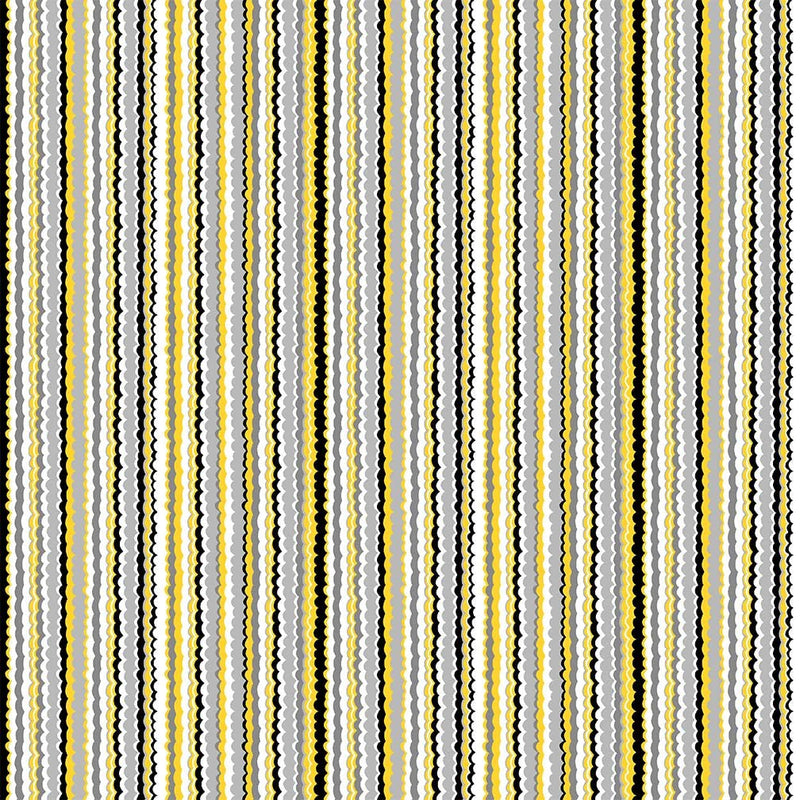 Michael Miller Fabrics - Michael Miller Prints Direct New - Choice FabricsDS-95988-001 - CX11813-GRAY-D