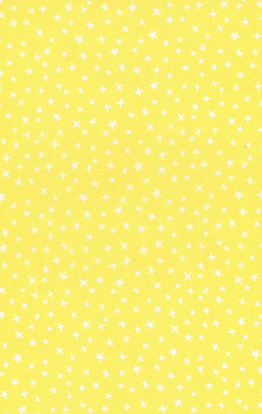 Michael Miller Fabrics - Michael Miller Prints Direct New - Choice FabricsDS-96006-001 - CX12086-CANA-D